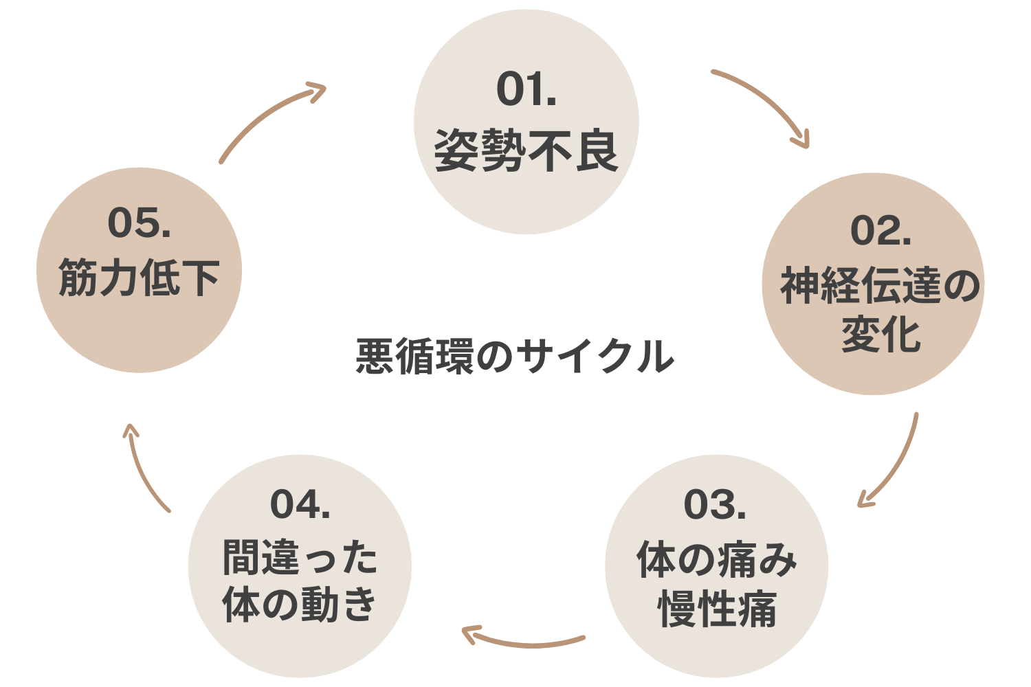 サイクル